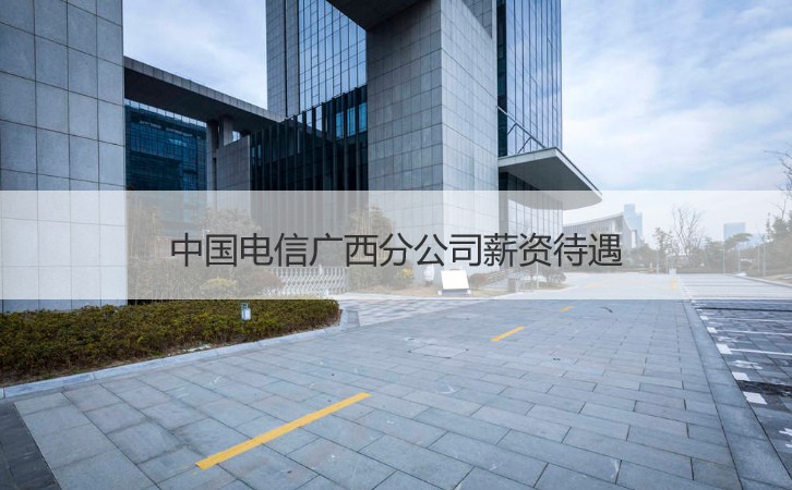 中國電信廣西分公司薪資待遇 中國電信廣西分公司怎么樣
